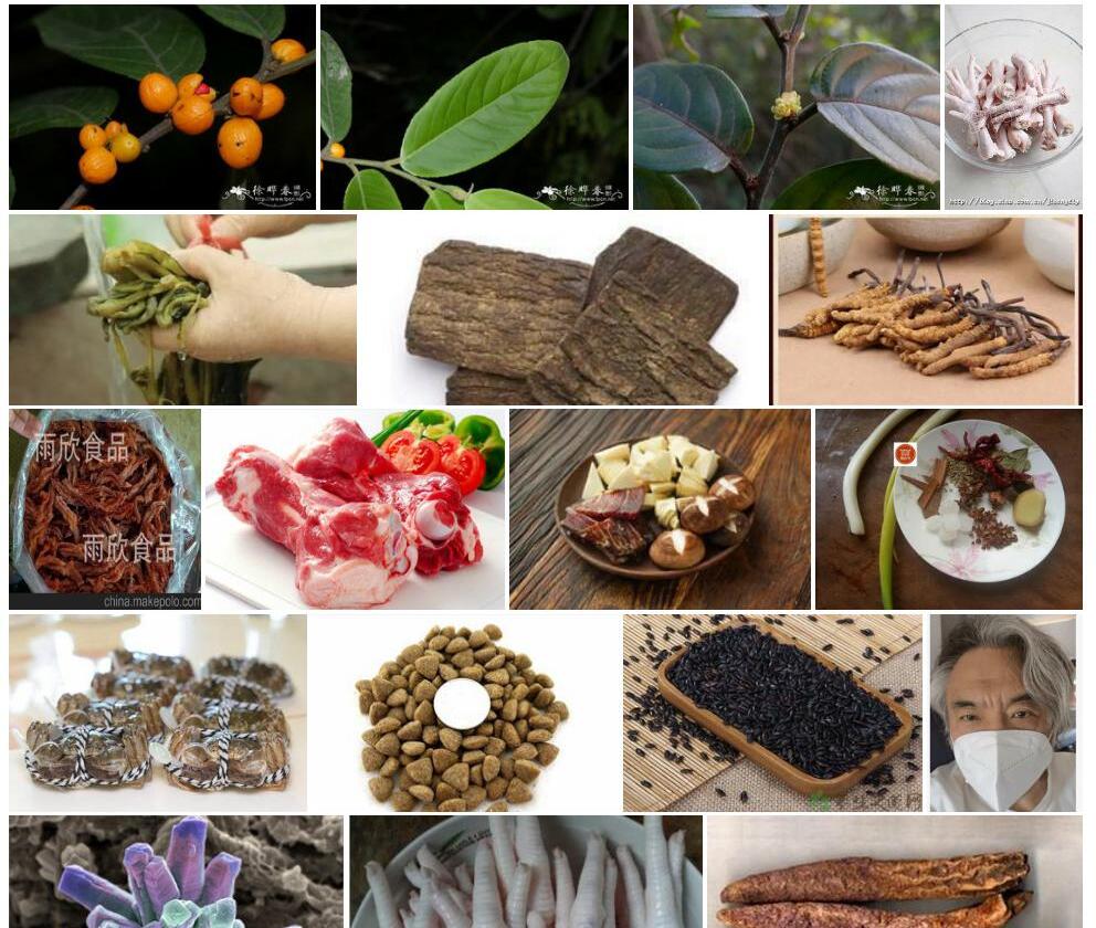 毛脉脚骨脆照片和图片/