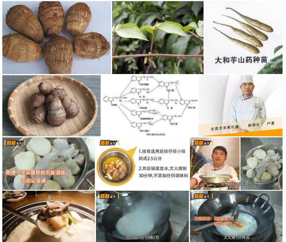 毛芋头薯蓣照片和图片/