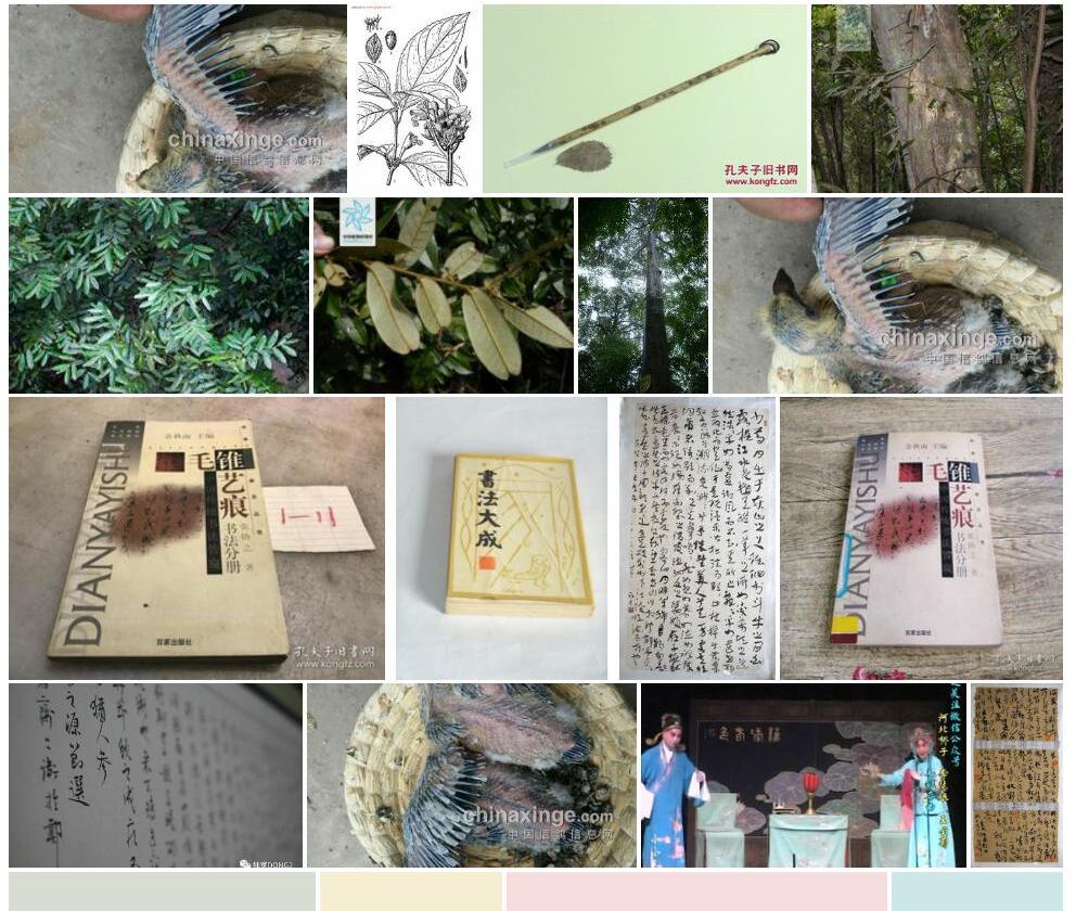 毛锥照片和图片/