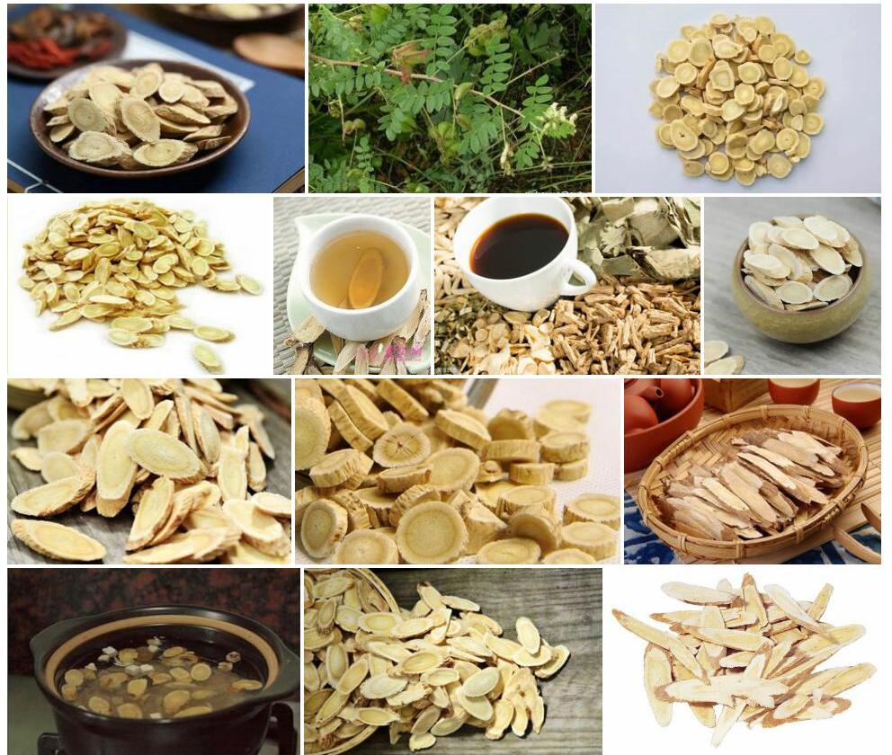水定黄耆照片和图片/