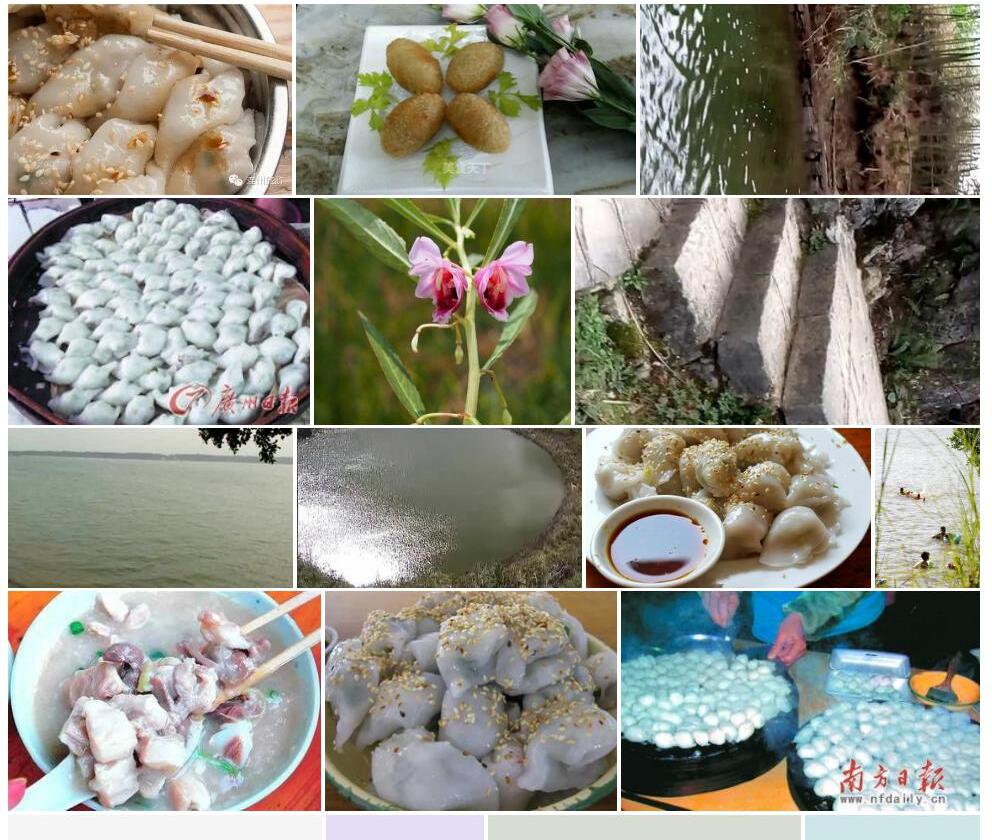 水角照片和图片/