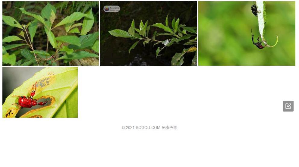 水金京照片和图片/