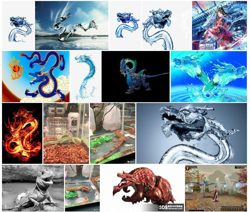 水龙照片和图片/