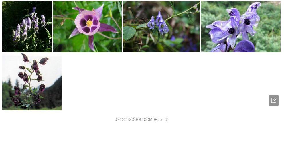 江孜乌头照片和图片/