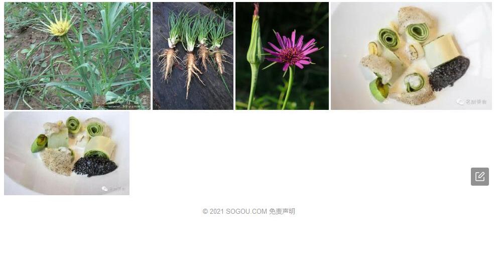 沙婆罗门参照片和图片/