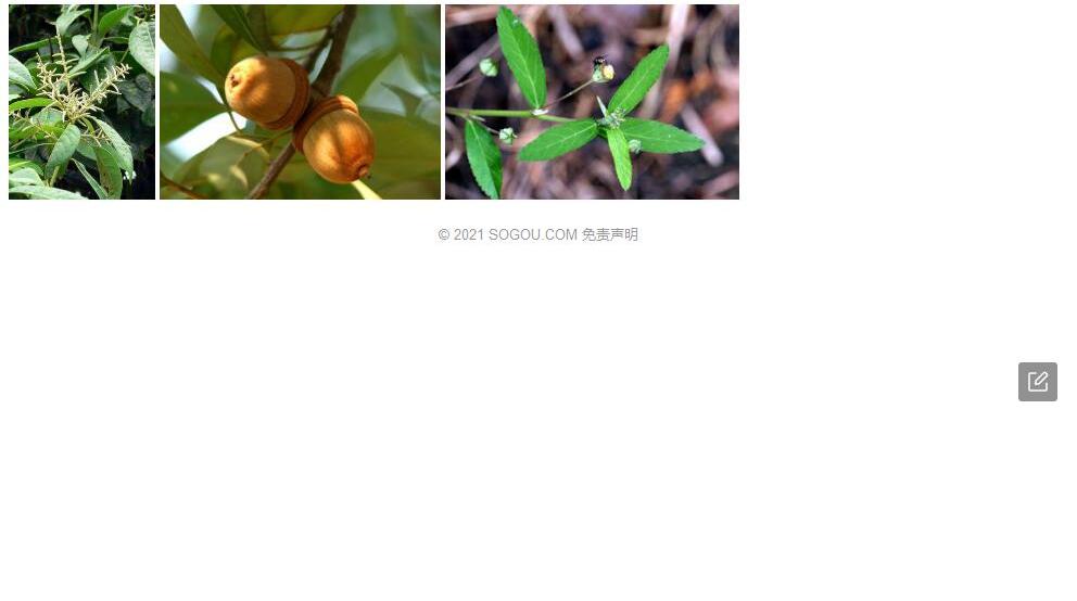 油叶柯照片和图片/