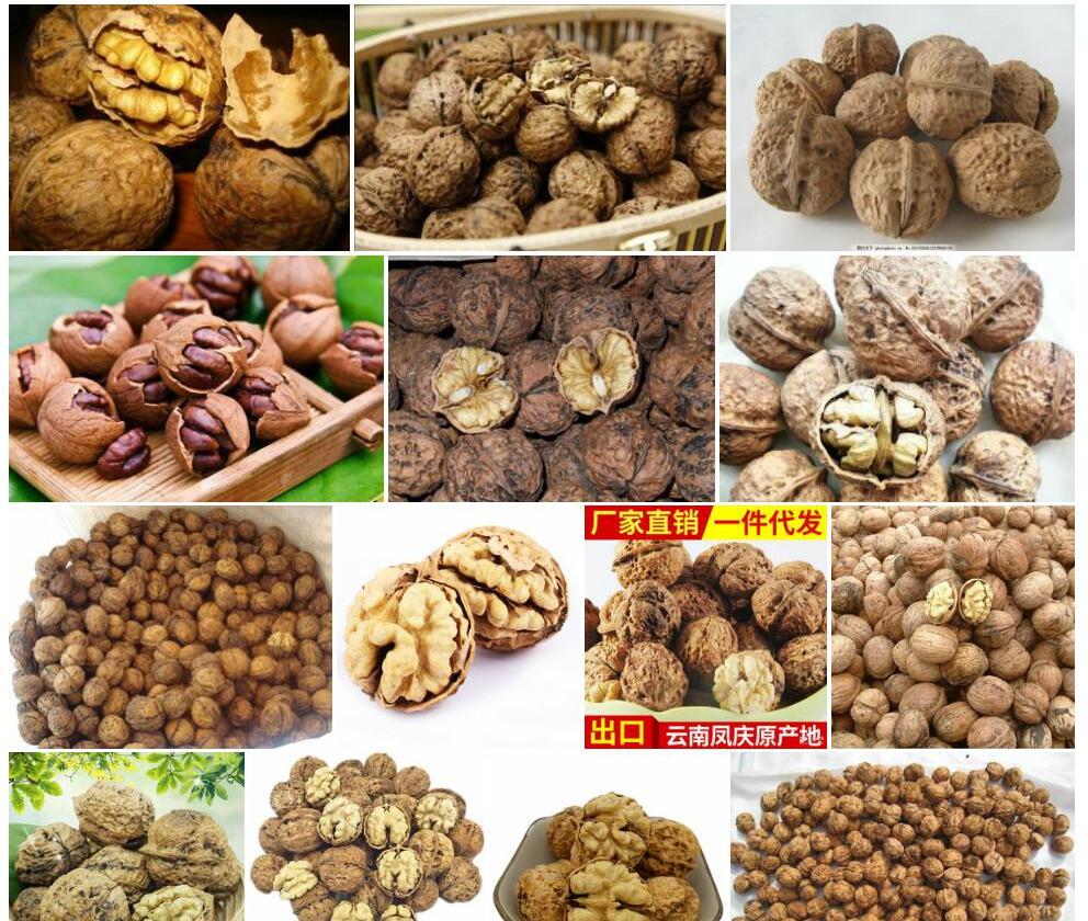泡核桃照片和图片/