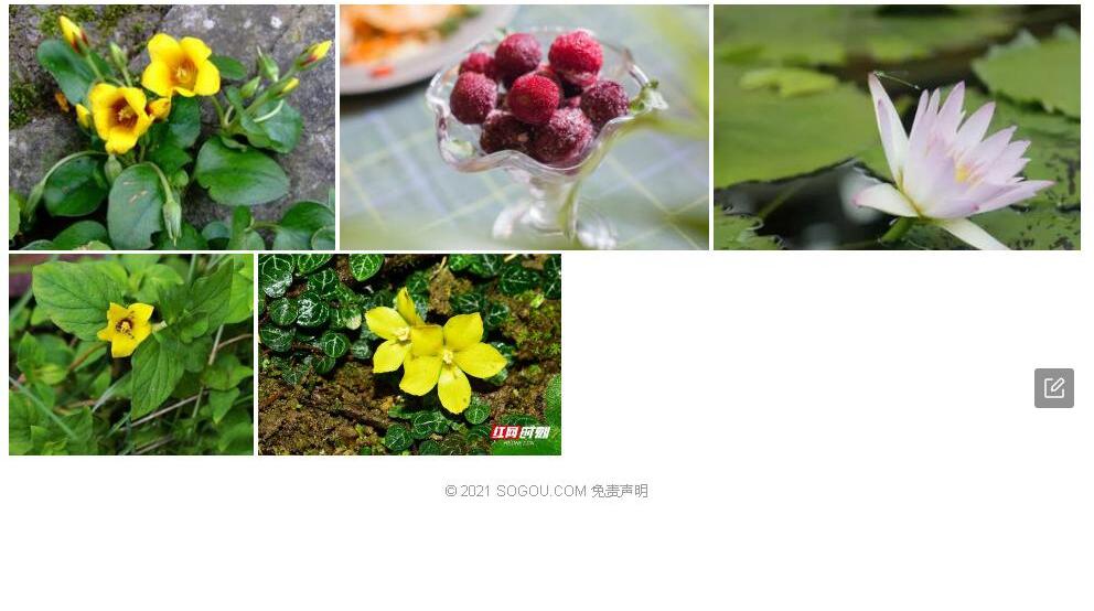 泰国过路黄照片和图片/