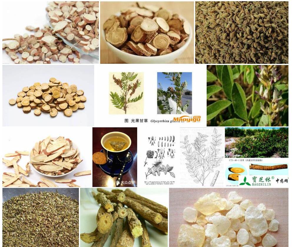 洋甘草照片和图片/