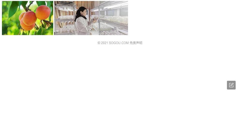 洪平杏照片和图片/