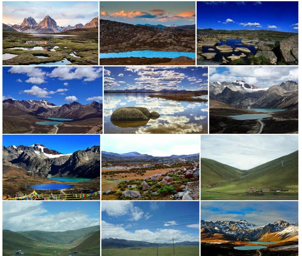 海子山老牛筋照片和图片/