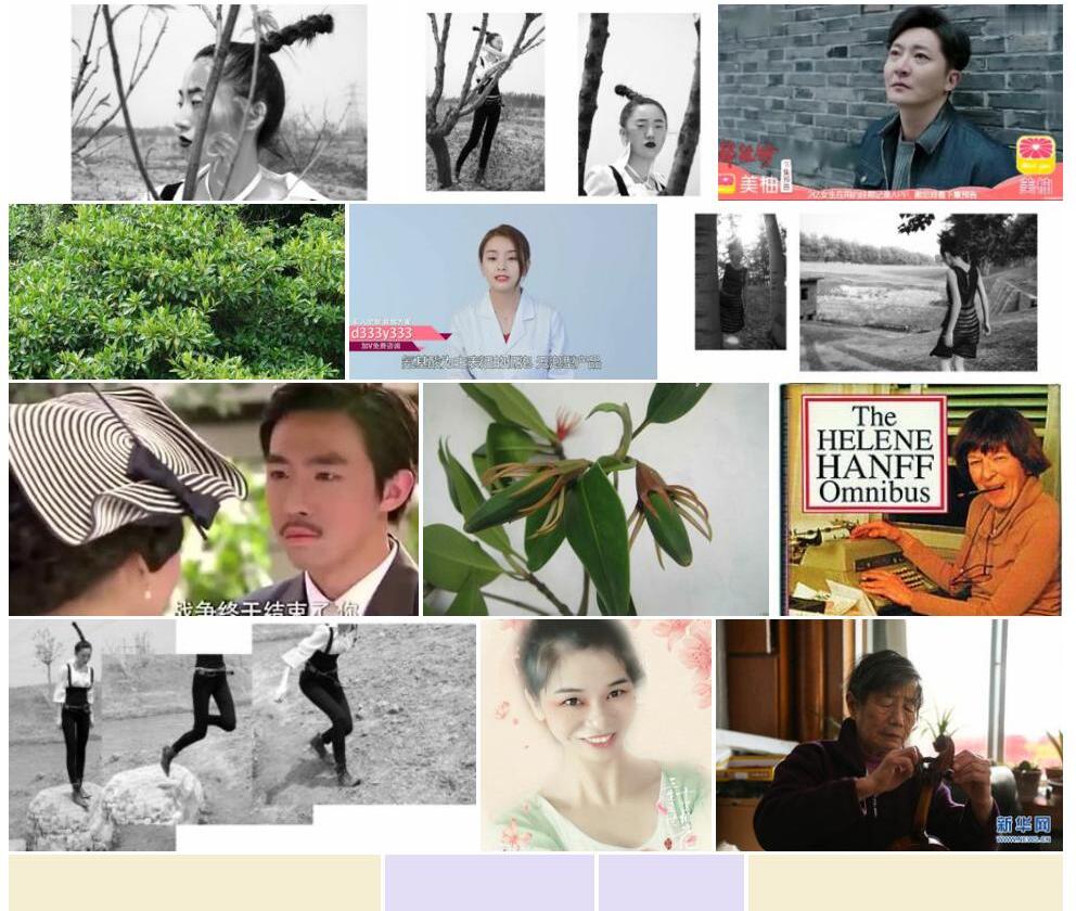 海莲照片和图片/