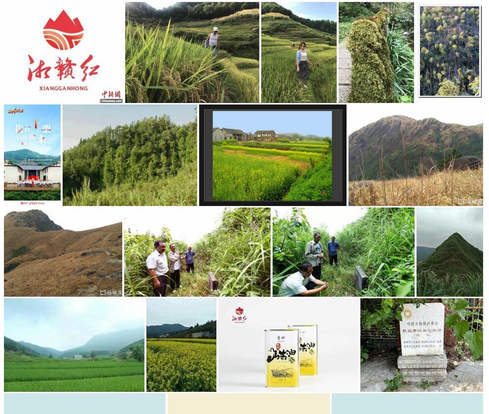 湘赣艾照片和图片/