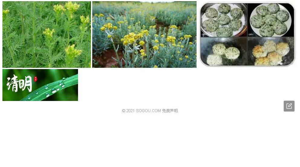 滇东蒿照片和图片/