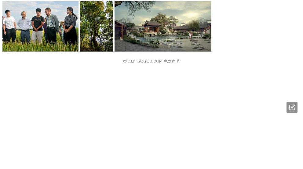 滇南艾照片和图片/