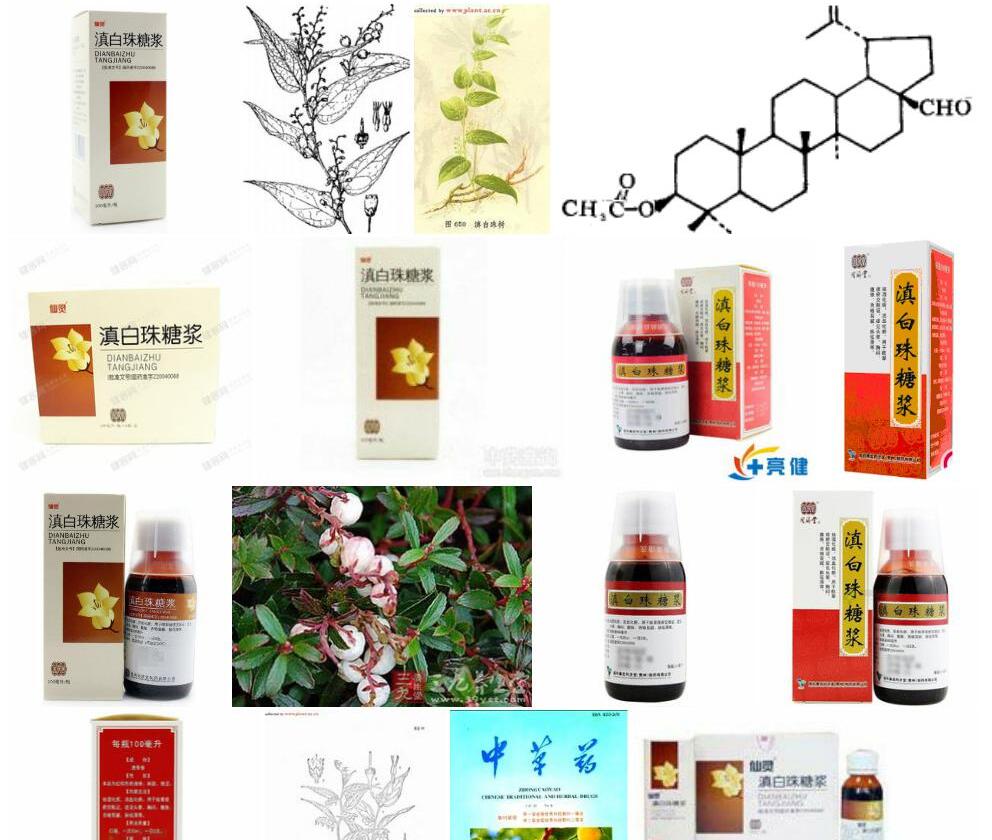 滇白珠照片和图片/