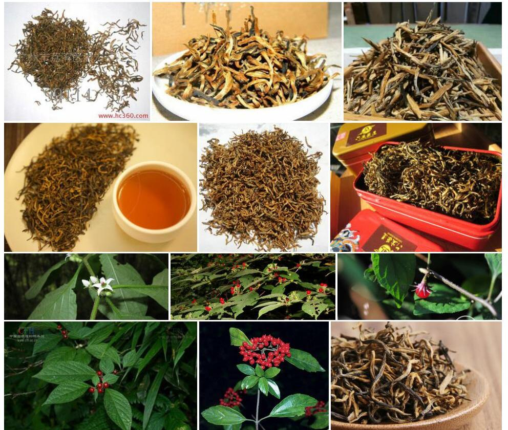 滇红丝线照片和图片/