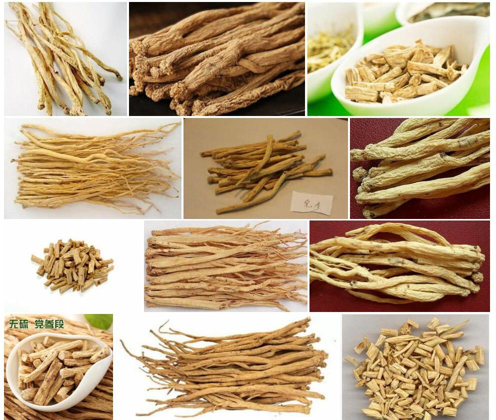滇缅党参照片和图片/