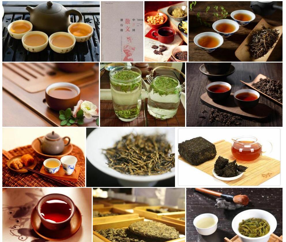 滇缅离蕊茶照片和图片/