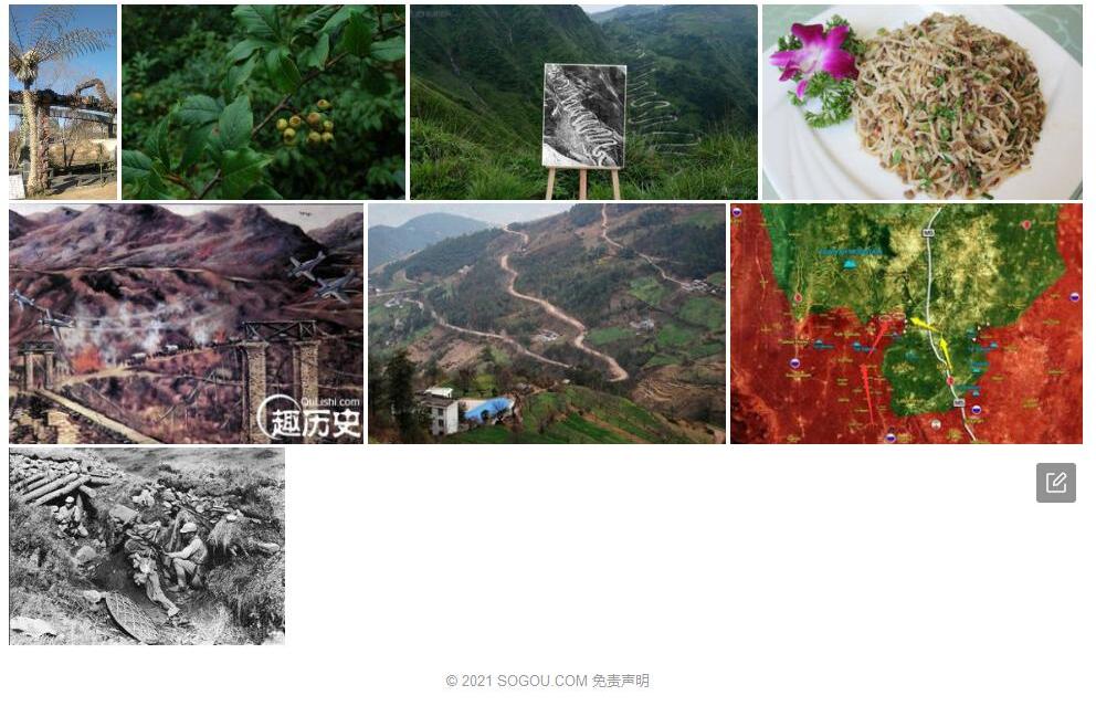 滇缅花楸照片和图片/