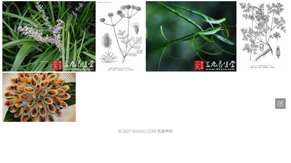 滇芹照片和图片/