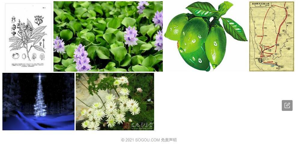 滇赤才照片和图片/
