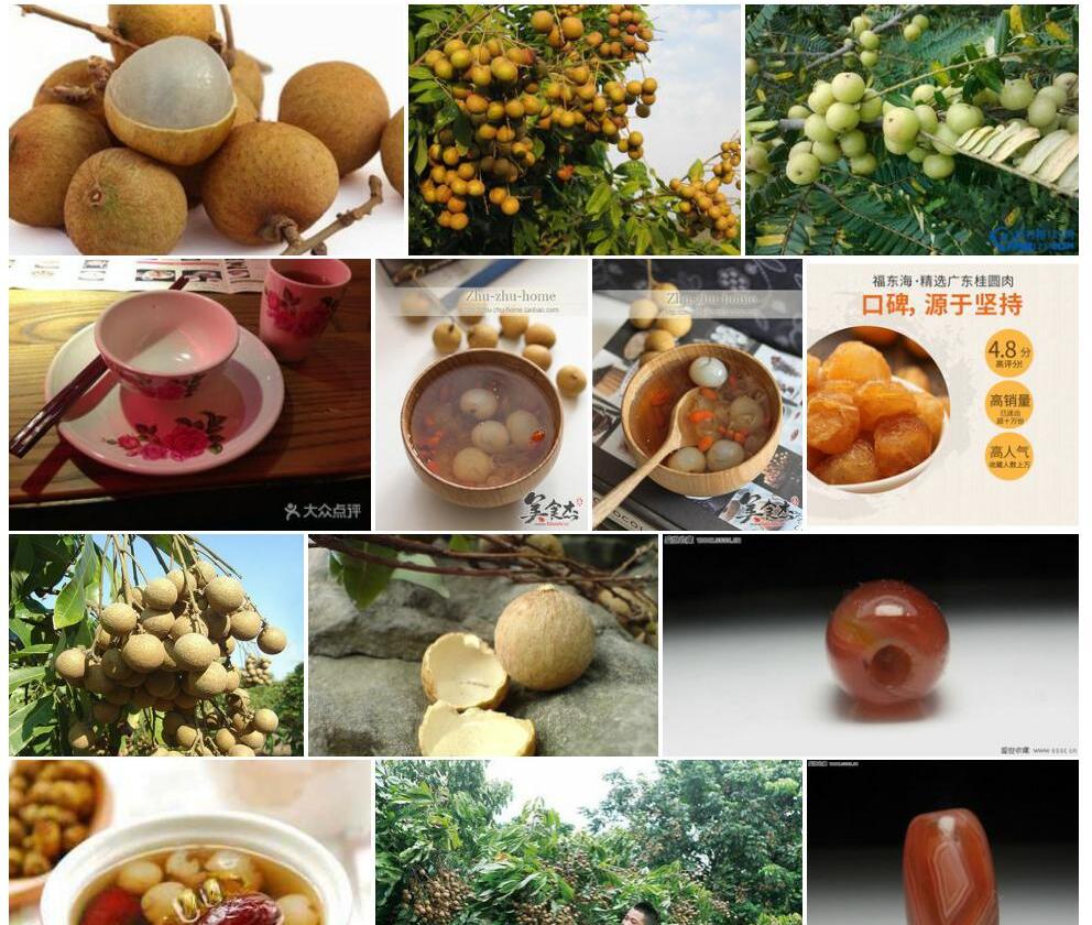 滇龙眼照片和图片/