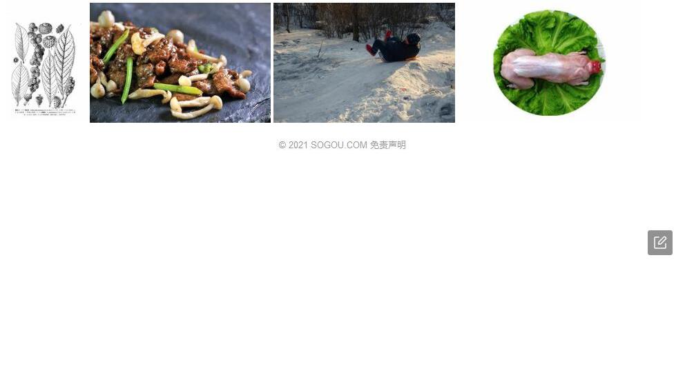 滑皮柯照片和图片/