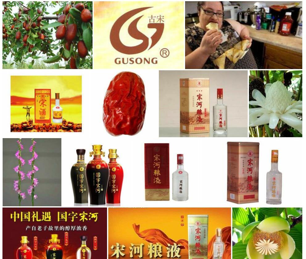 滨枣照片和图片/
