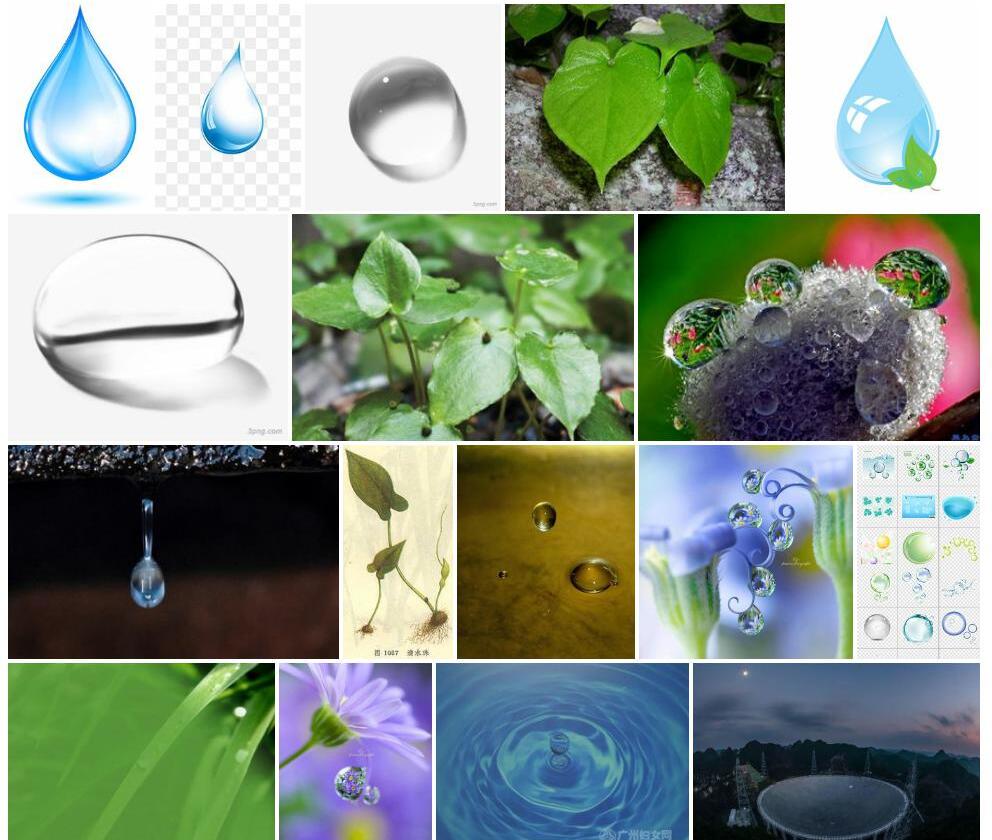 滴水珠照片和图片/