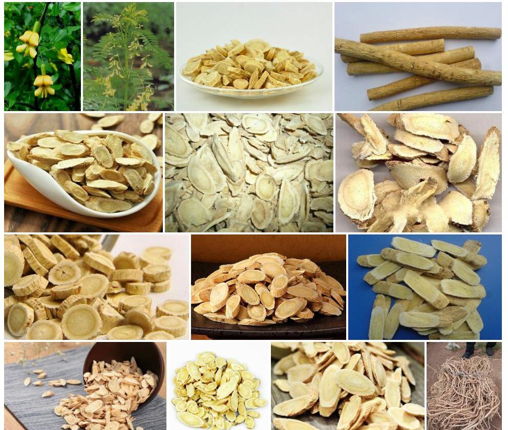 漠北黄耆照片和图片/
