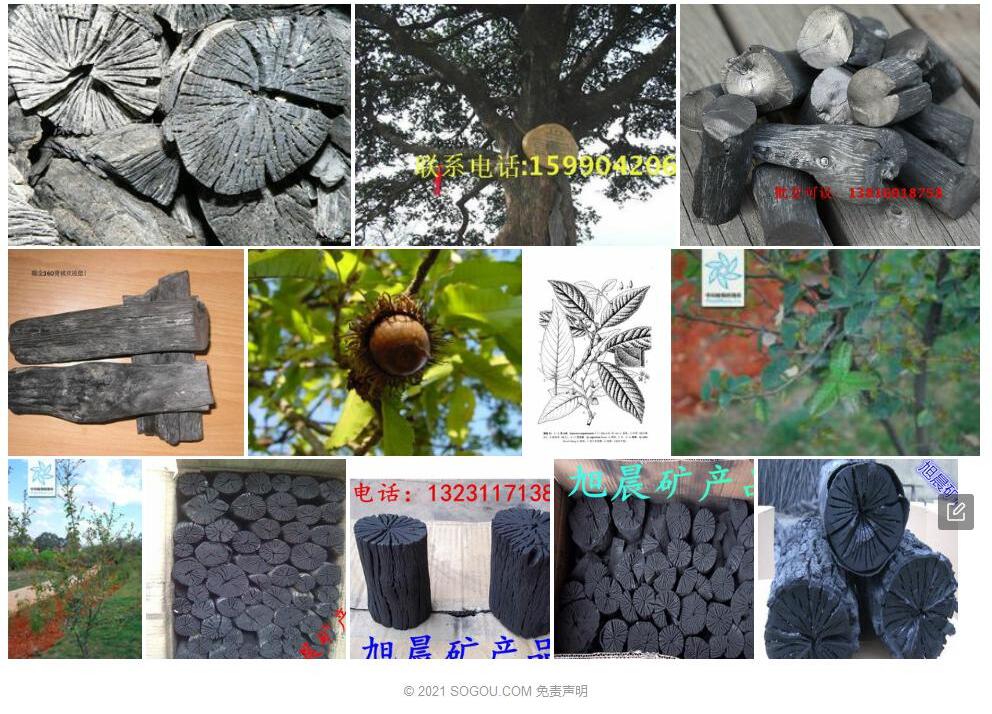 炭栎照片和图片/