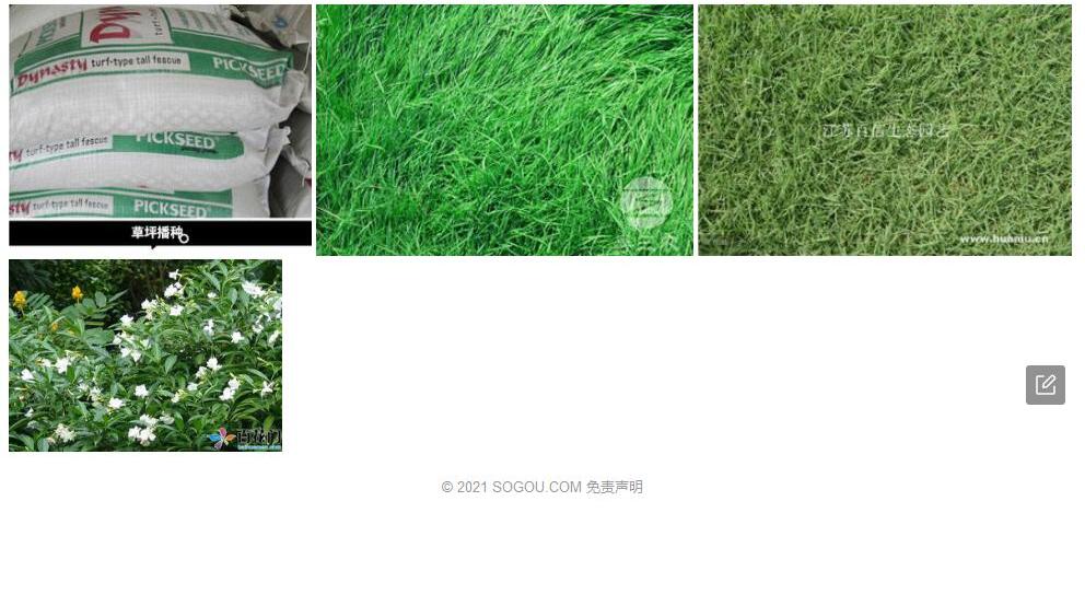 狗牙大青照片和图片/