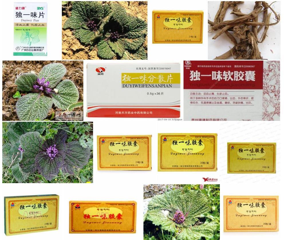 独一味照片和图片/