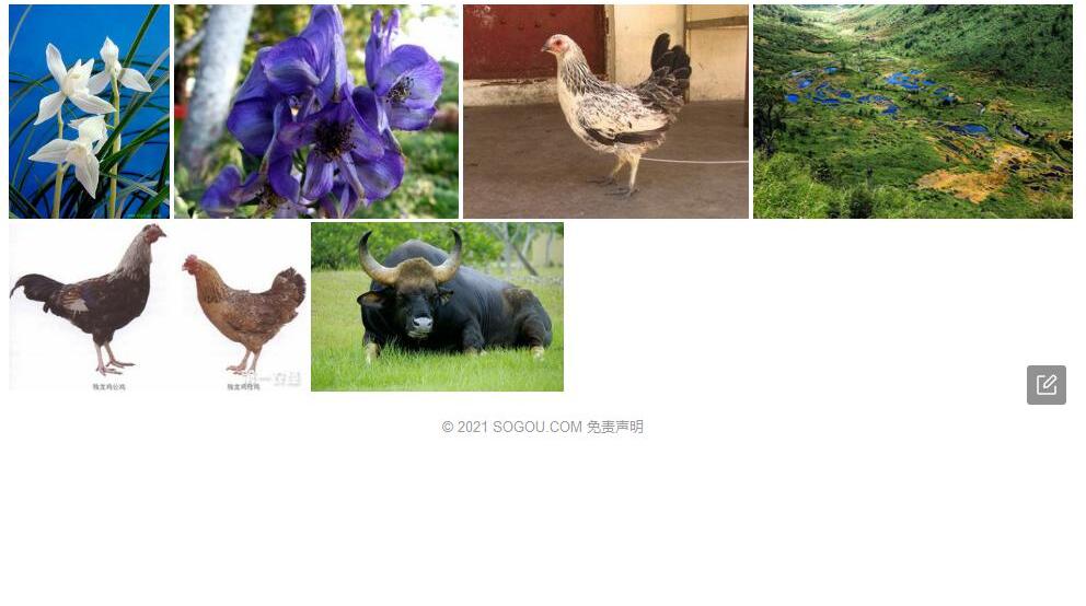 独龙乌头照片和图片/