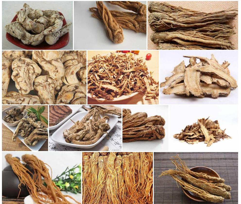 玉山当归照片和图片/