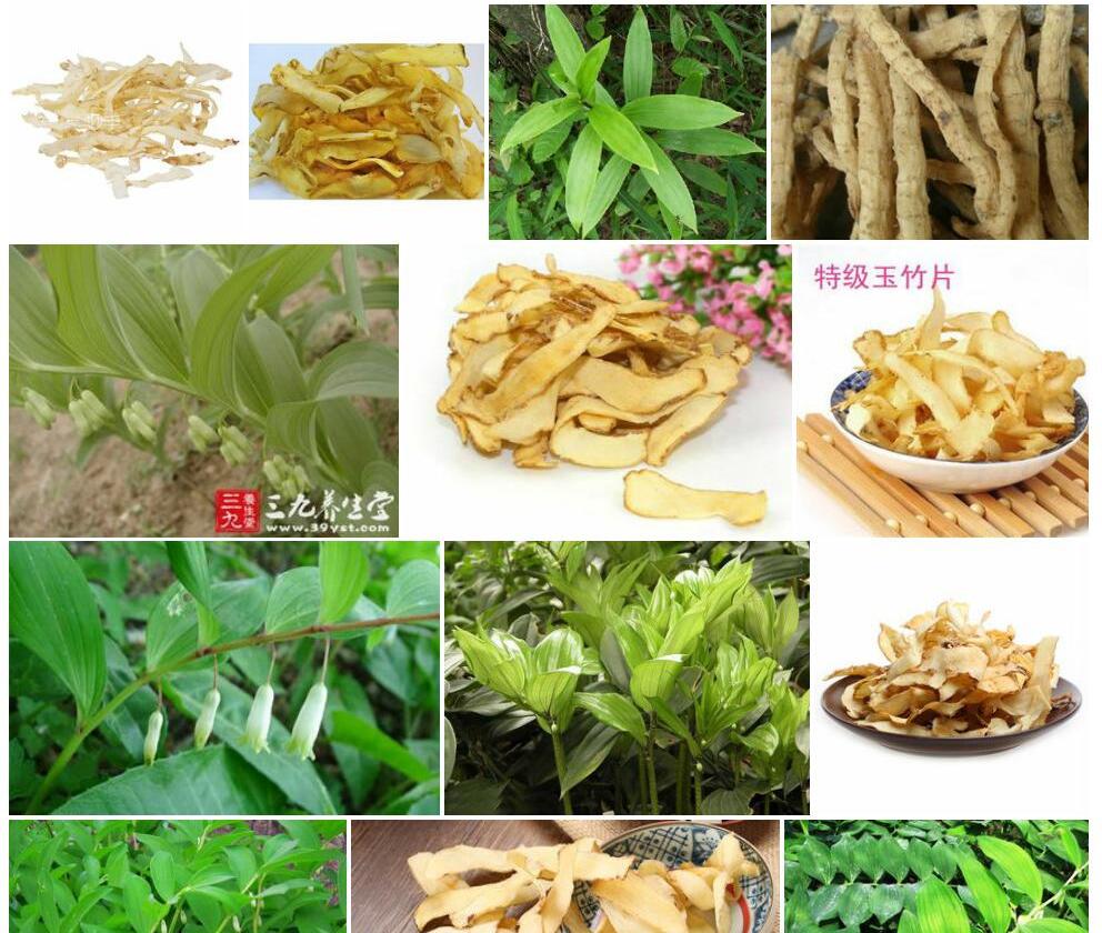 玉竹照片和图片/