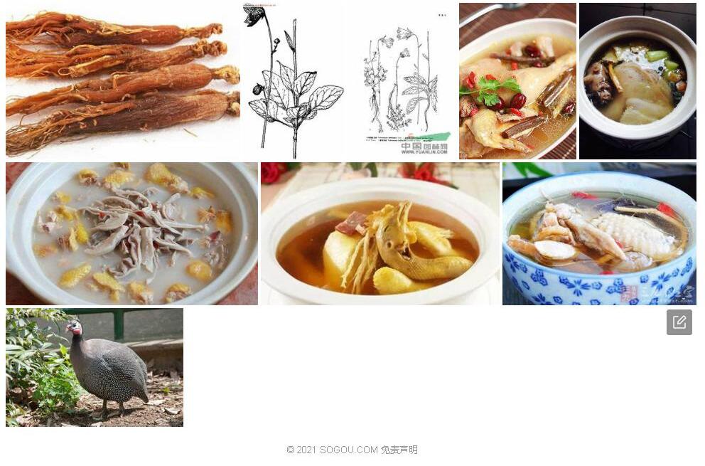 珠鸡斑党参照片和图片/