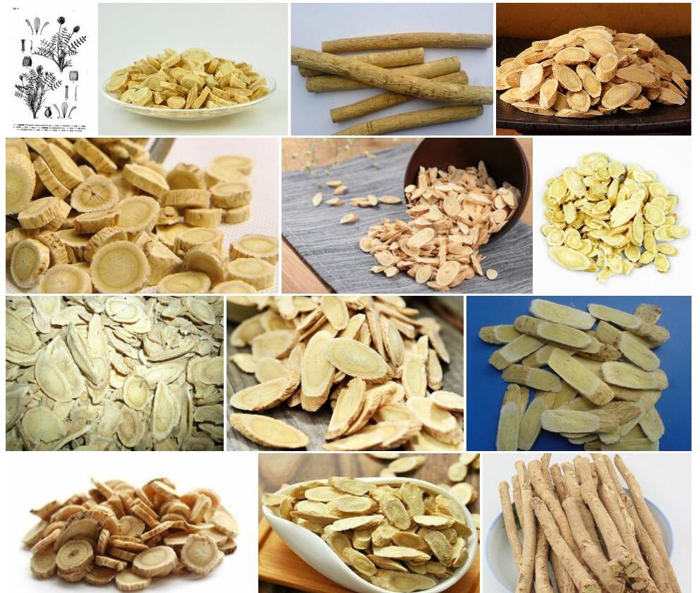 球囊黄耆照片和图片/