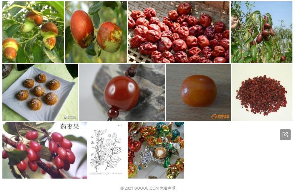 球枣照片和图片/