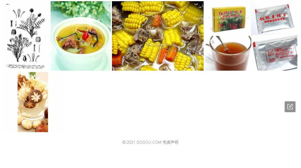 球脬黄耆照片和图片/