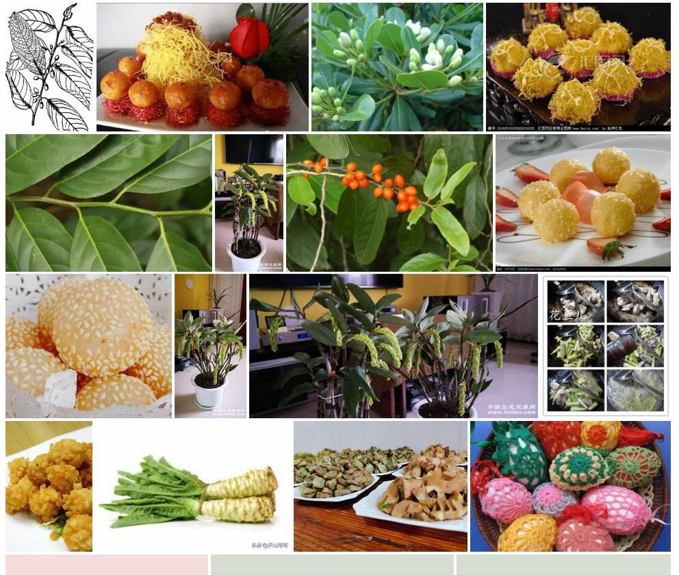 球花脚骨脆照片和图片/