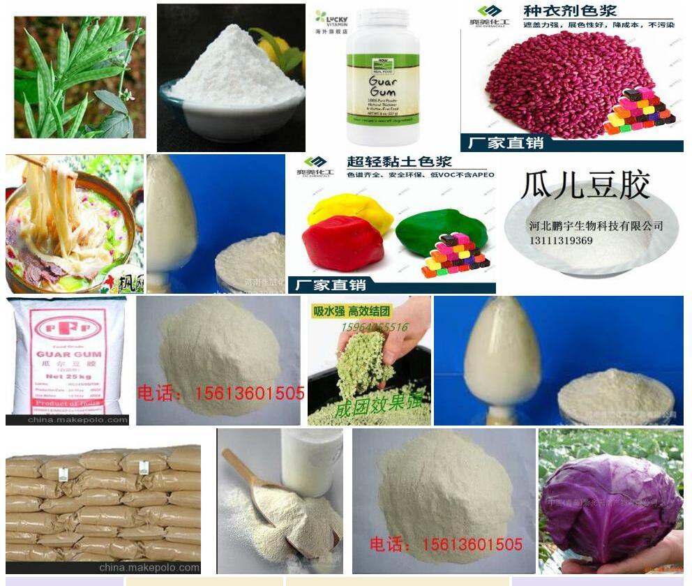 瓜儿豆照片和图片/