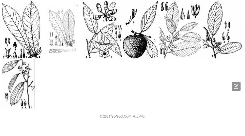 田方骨照片和图片/