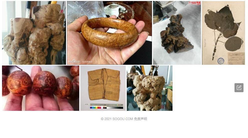 瘤冠麻照片和图片/