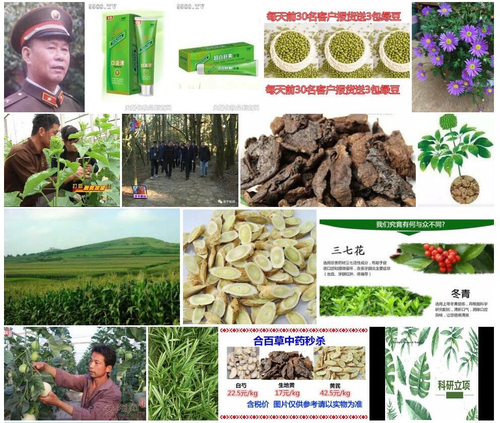 白健秆照片和图片/