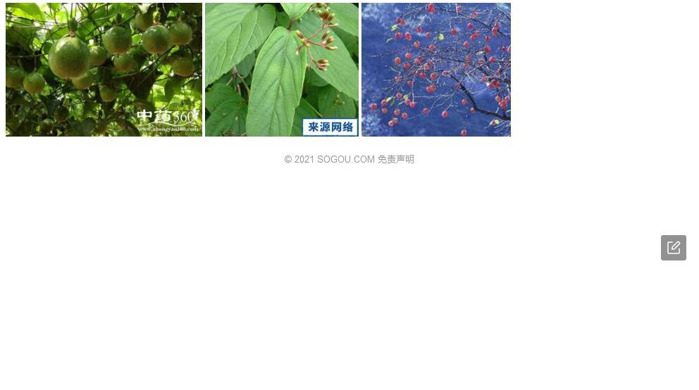 白柴果照片和图片/