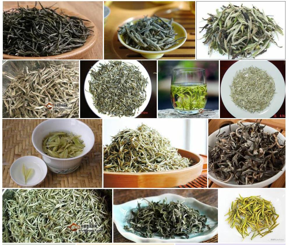 白毛茶照片和图片/
