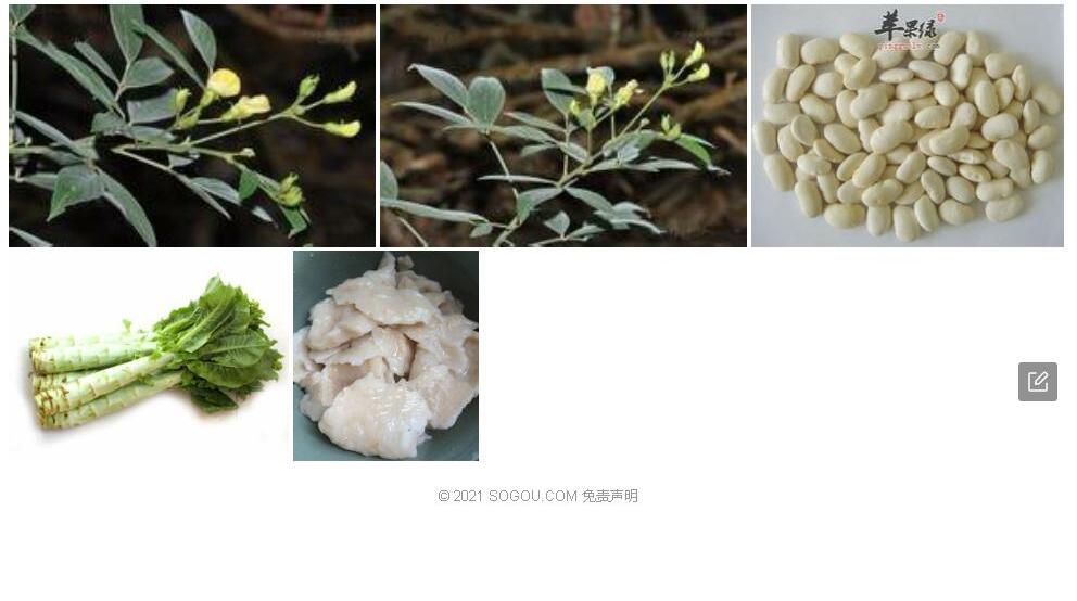 白虫豆照片和图片/