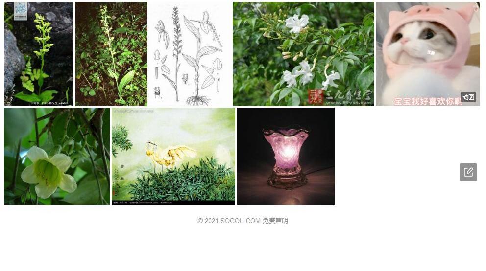 白鹤参照片和图片/